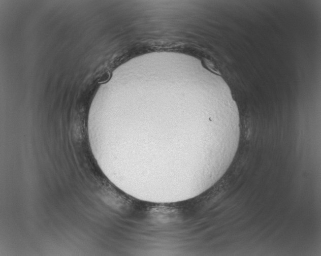 X0000076400515200611031725