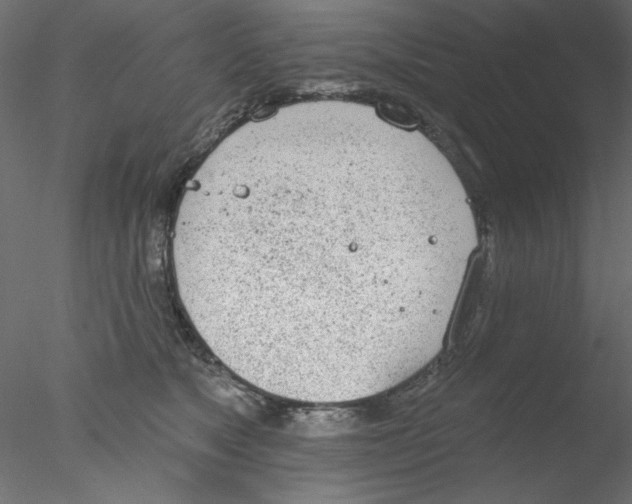 X0000076400517200611031725