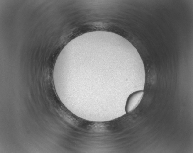 X0000076400518200611031725