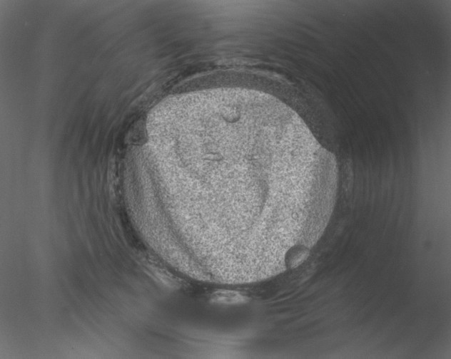 X0000076400519200611031725