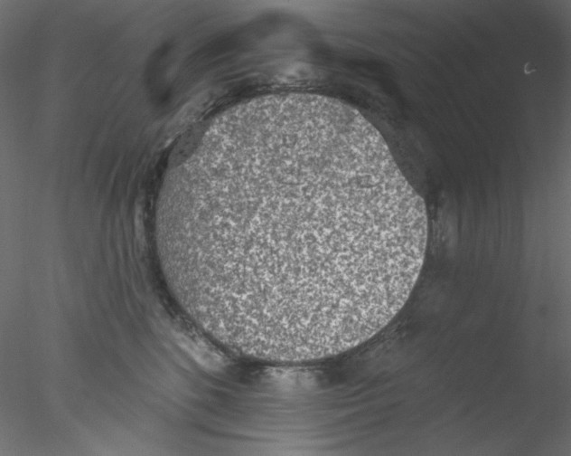 X0000076400520200611031725