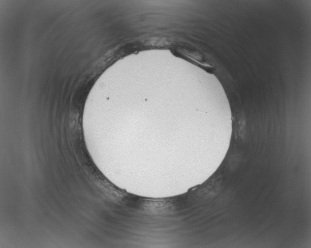 X0000076400521200611031725