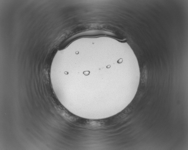 X0000076400522200611031725