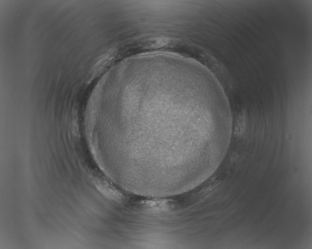 X0000076400524200611031725