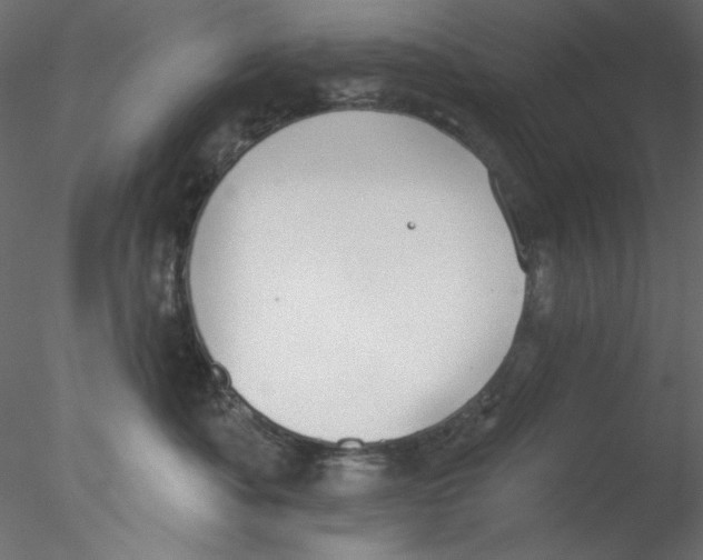 X0000076400525200611031725