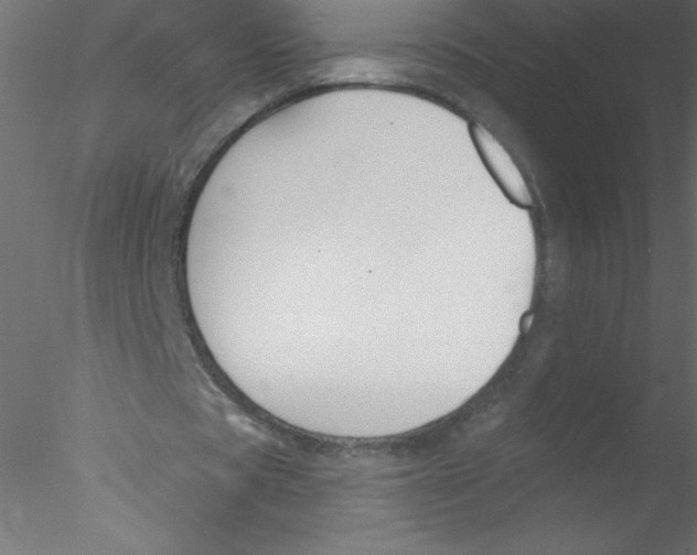 X0000076400529200611031724