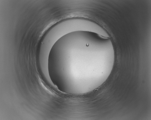 X0000076400530200611031724