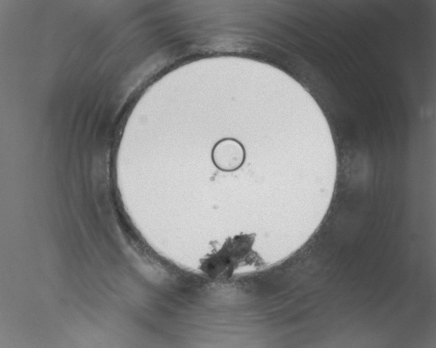 X0000076400534200611031724