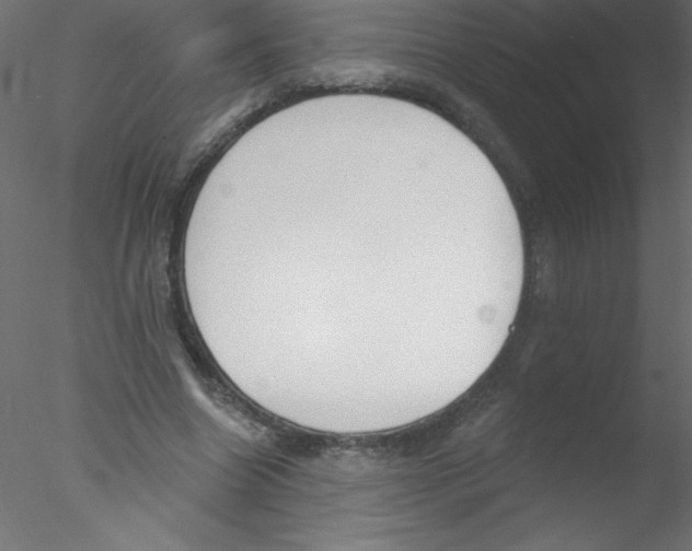 X0000076400538200611031724