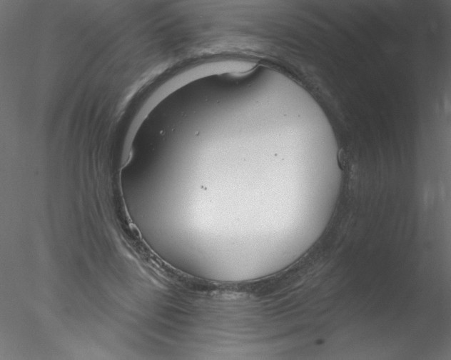 X0000076400539200611031724