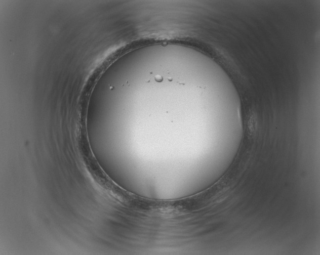 X0000076400540200611031724