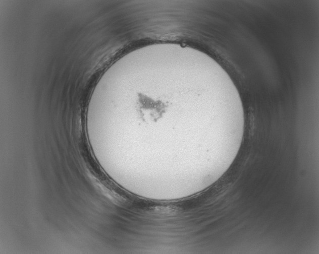 X0000076400541200611031724