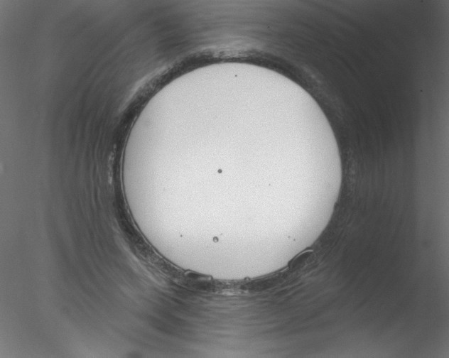 X0000076400543200611031724