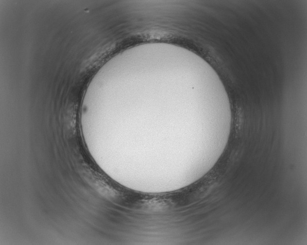 X0000076400545200611031724