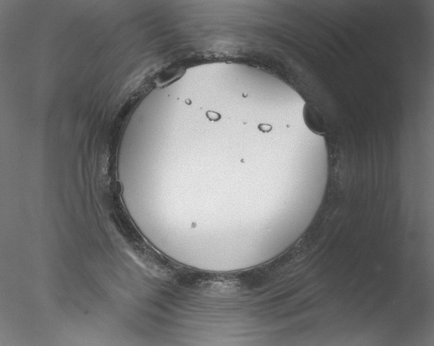 X0000076400548200611031724