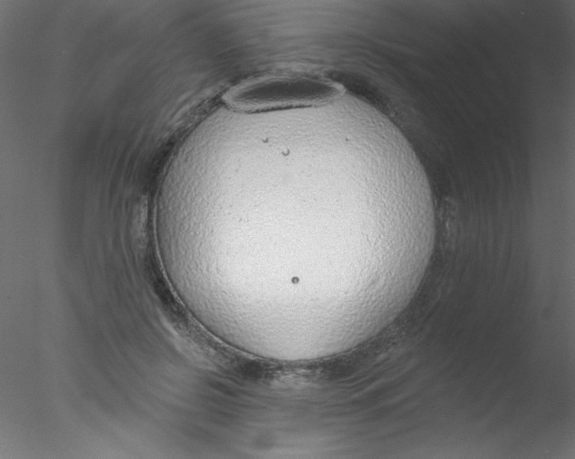 X0000076400550200611031724