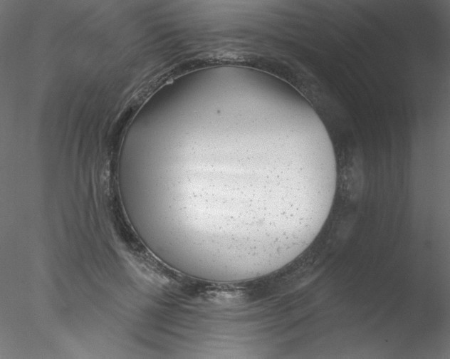 X0000076400552200611031724