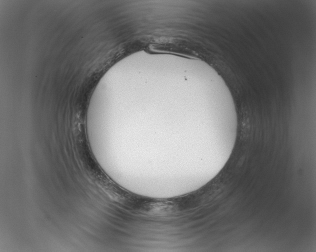 X0000076400555200611031724