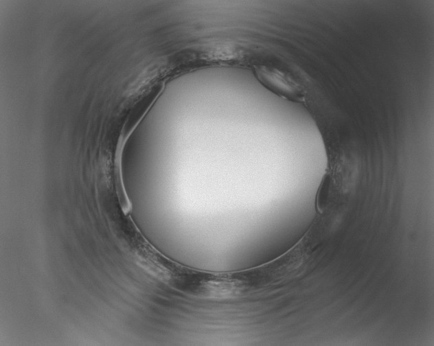 X0000076400556200611031724