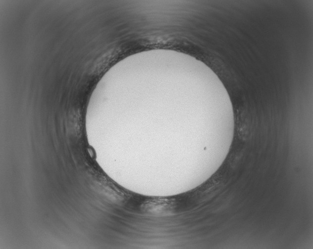 X0000076400563200611031725