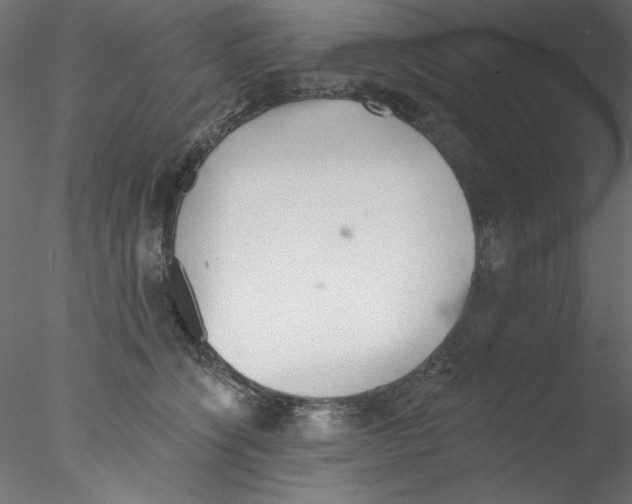 X0000076400564200611031725