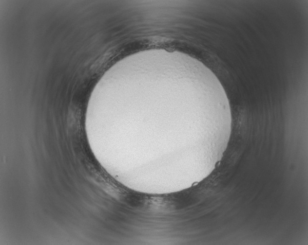 X0000076400565200611031725