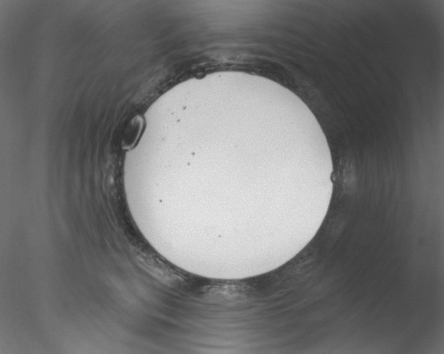 X0000076400567200611031725