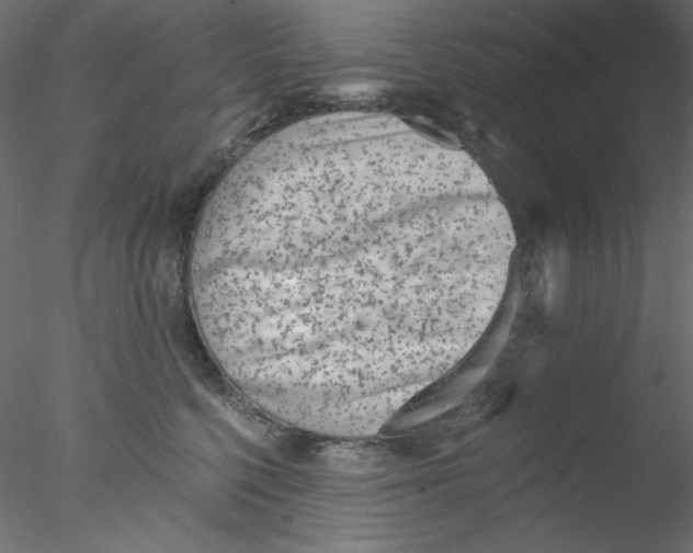 X0000076400568200611031725