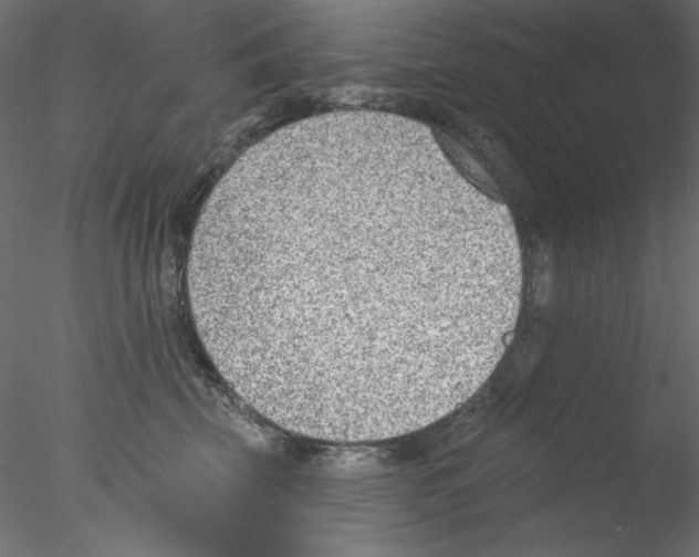 X0000076400569200611031725