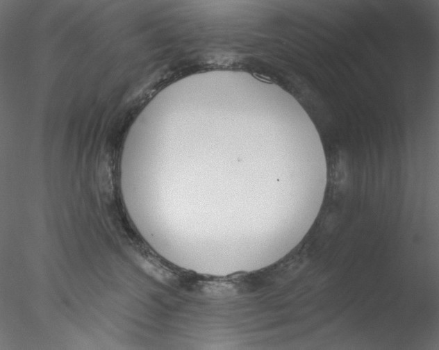 X0000076400572200611031725