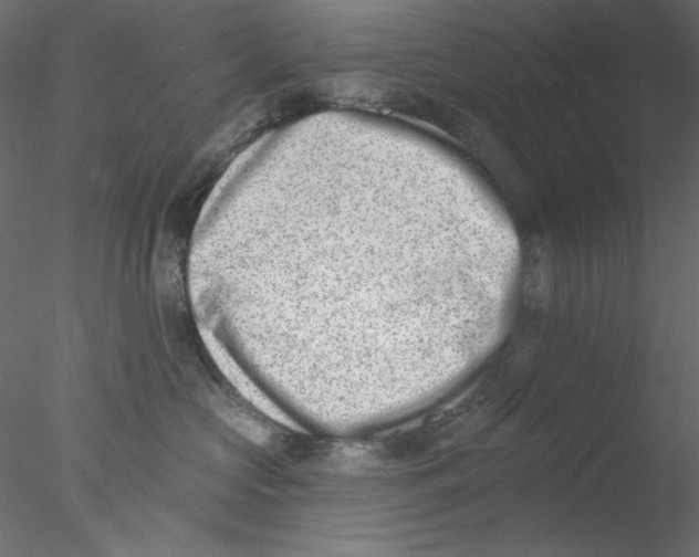 X0000076400573200611031725