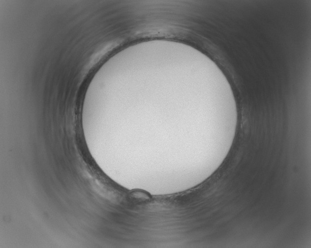 X0000076400578200611031724