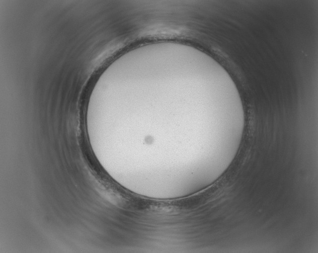 X0000076400582200611031724