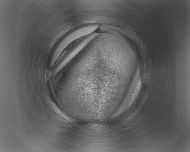 X0000076400585200611031724