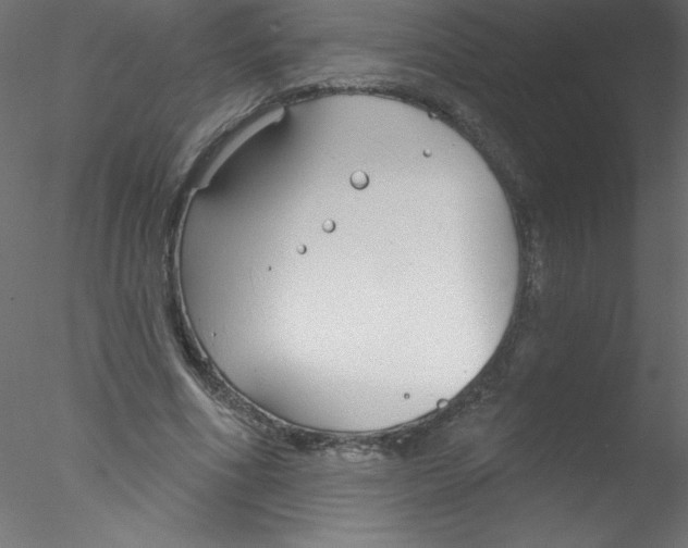 X0000076400586200611031724