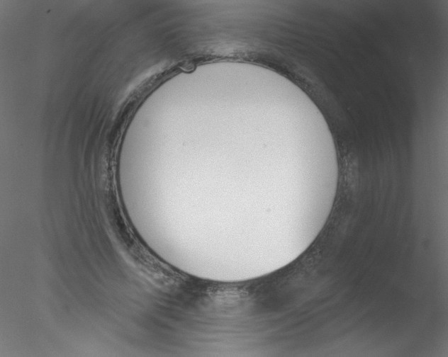 X0000076400587200611031724