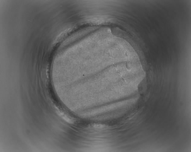 X0000076400590200611031724