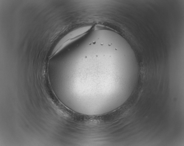 X0000076400593200611031724