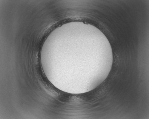 X0000076400596200611031724