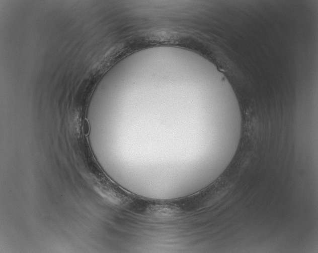 X0000076400597200611031724