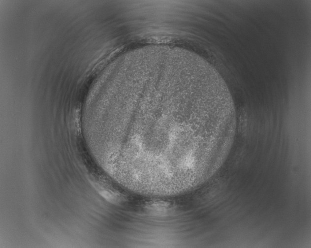 X0000076400598200611031724