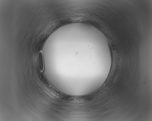 X0000076400601200611031724