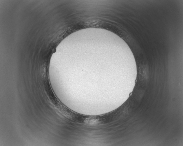 X0000076400602200611031724