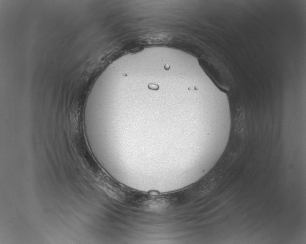 X0000076400604200611031724