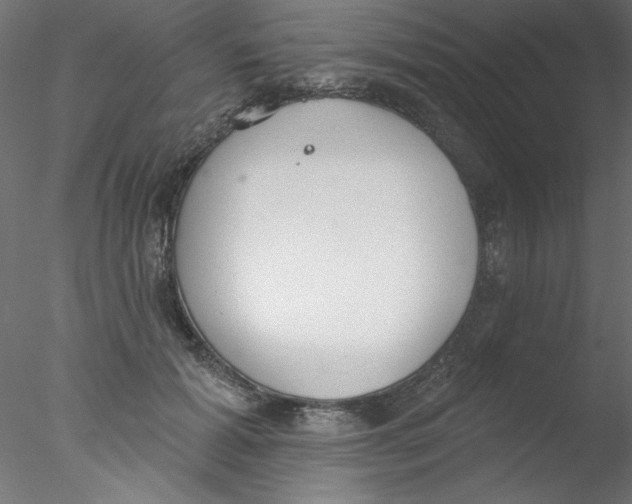 X0000076400605200611031724