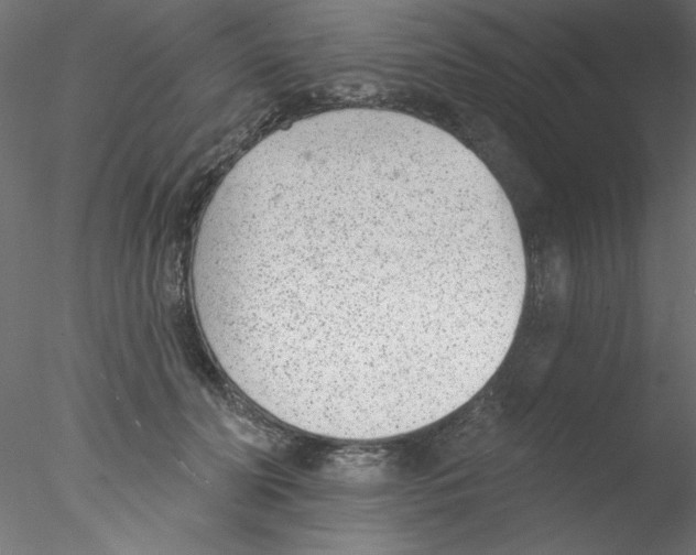 X0000076400606200611031724