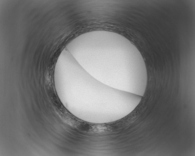 X0000076400607200611031724