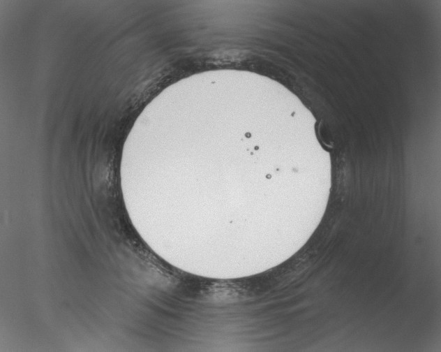 X0000076400608200611031723