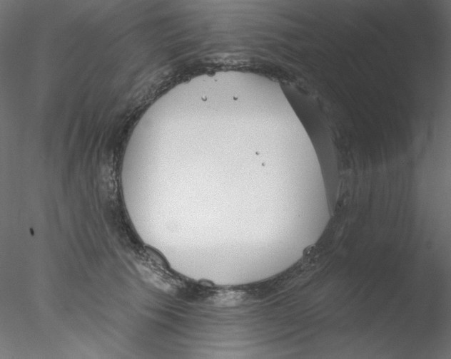 X0000076400609200611031723