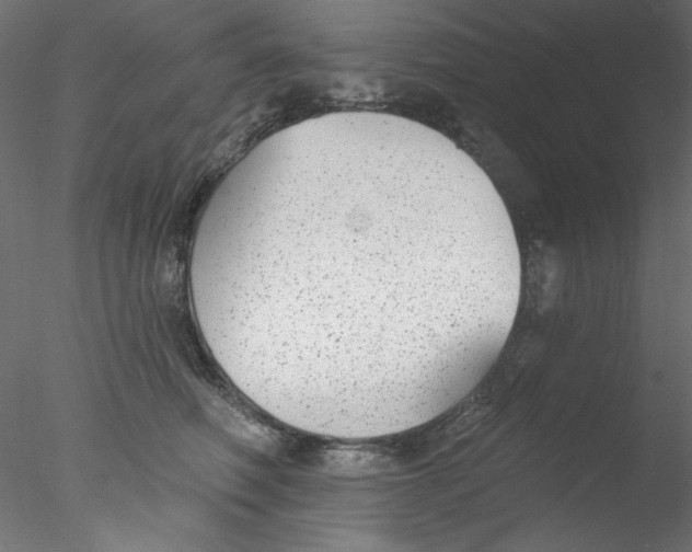 X0000076400614200611031723